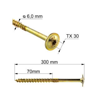 Vrut konstrukční  s talířovou hlavou TX 6X300 (100ks/bal.)